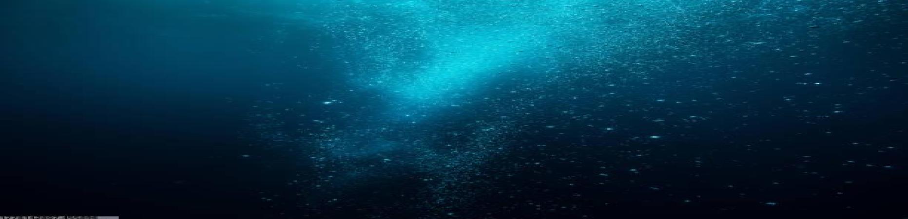 2026世界杯官网数据可视化呈现